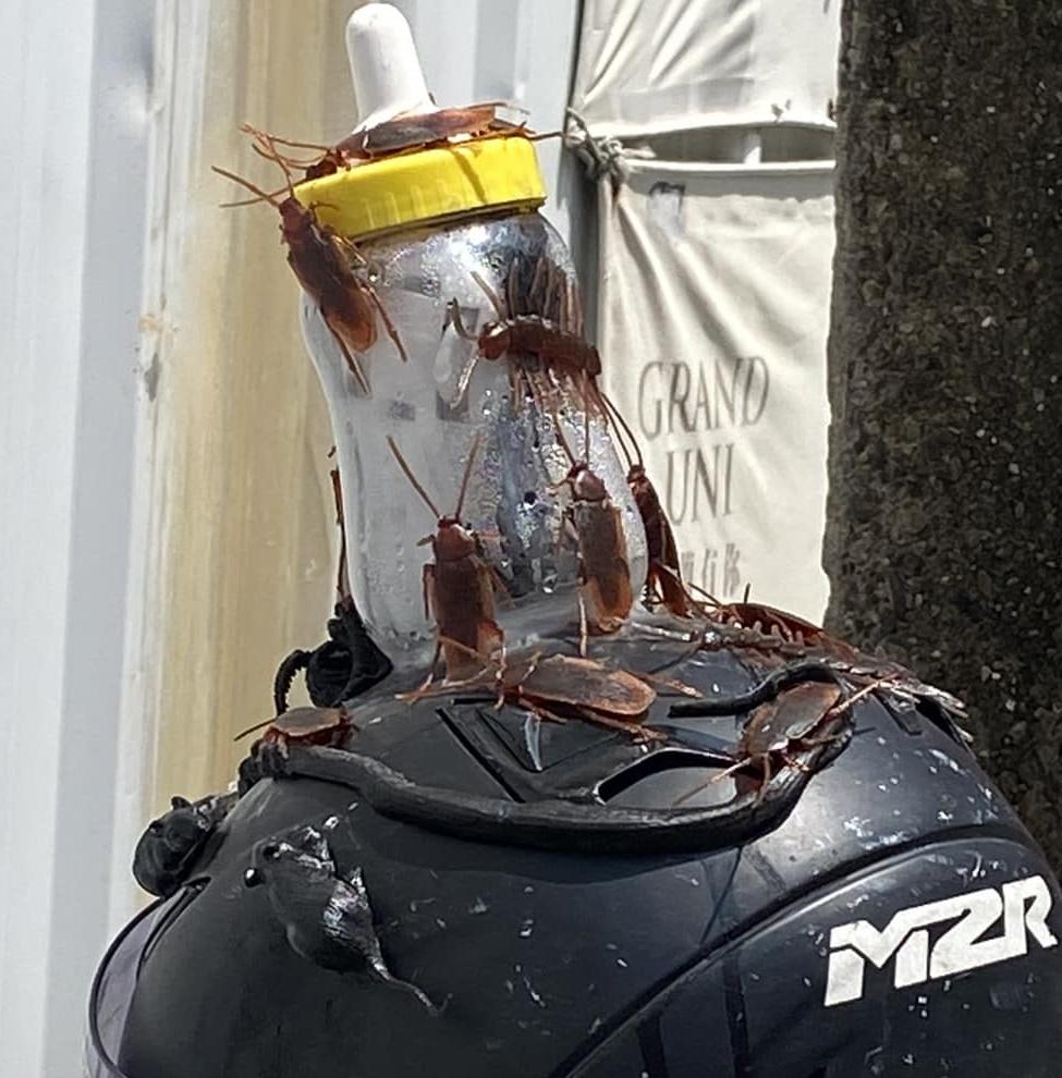 雖然只要仔細一看就知是假曱甴,但帖文只出了一日,也足以令逾1萬名網民「震驚」。(FB)