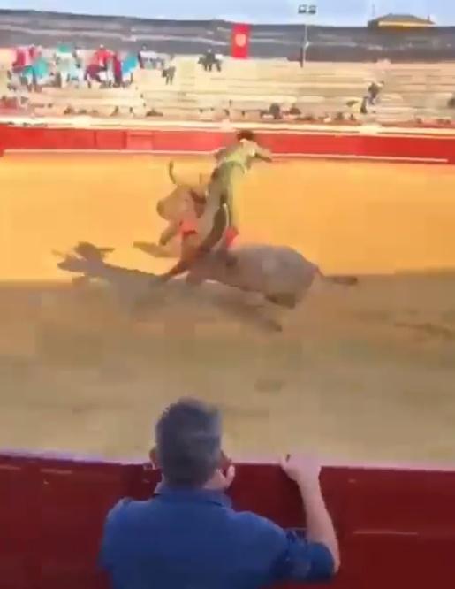 他倒臥地上還來不及反應,公牛已衝著他低頭用角攻擊他兩腿之間的位置,把他再度頂飛到半空,接著摔在地上。(X)