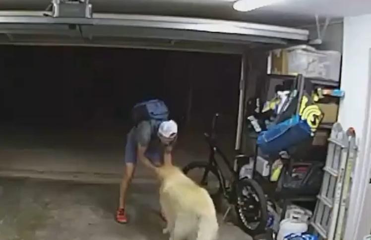 賊人將單車放回原位,大膽地踎低跟這隻狗狗玩起來。(X)