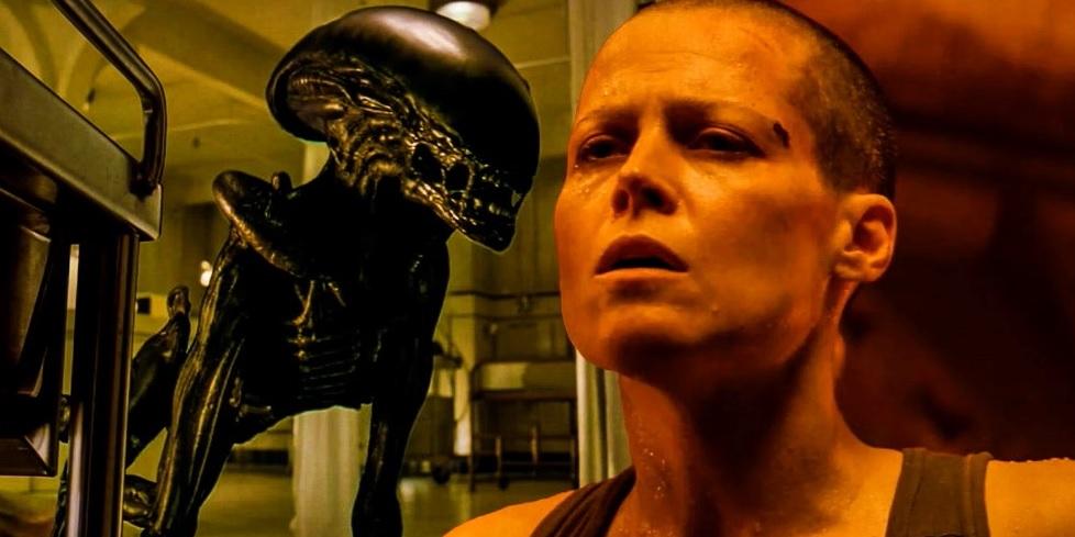 《七宗罪》名導大衛芬查新作《The Killer》 150分鐘震撼Netflix高層