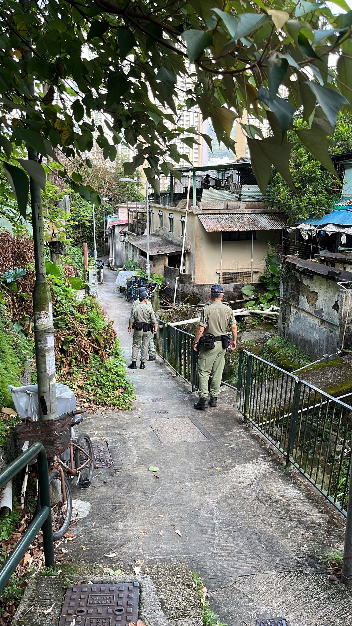沙田警區一連三日跨部門陸空反爆竊