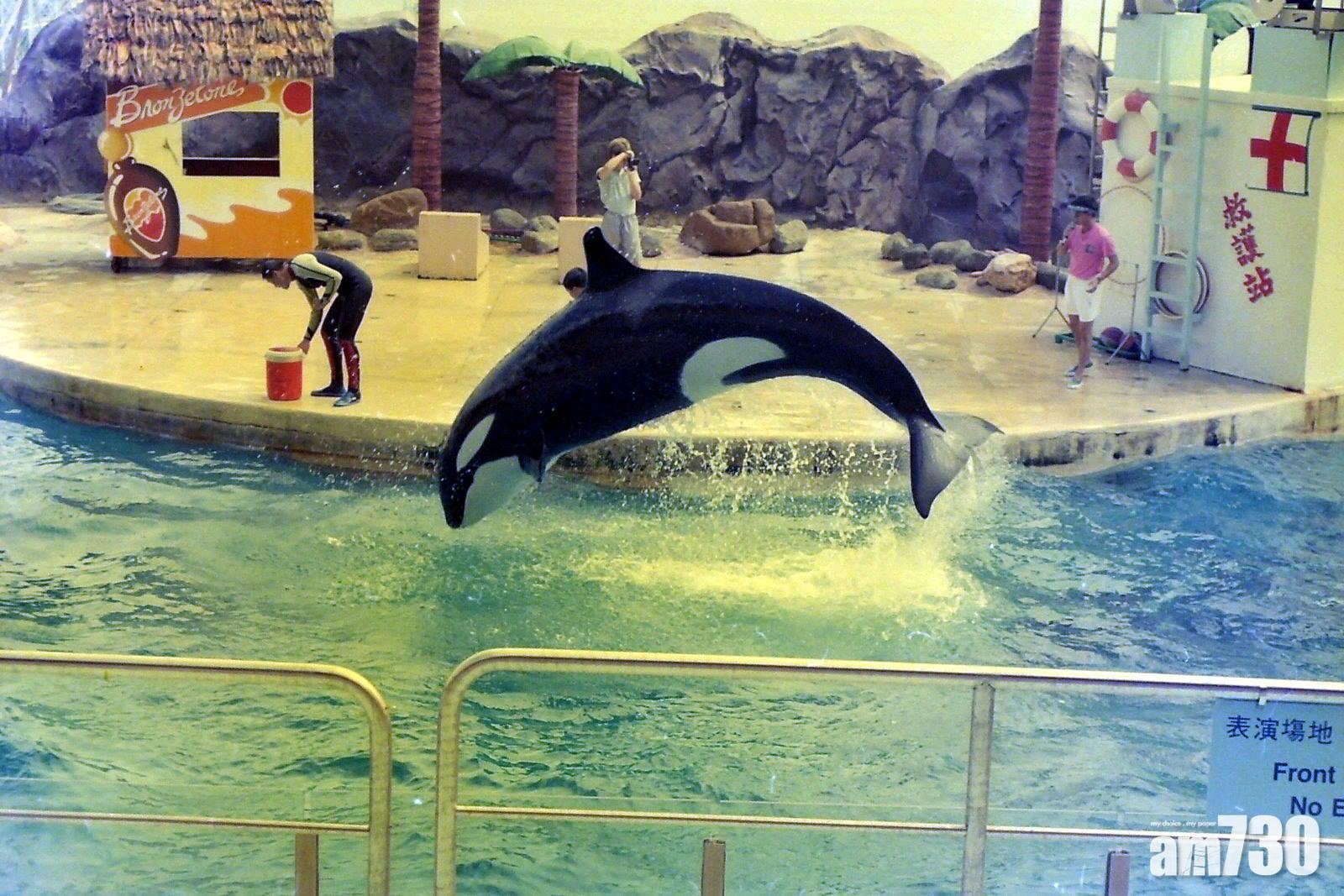 海洋公園|7個已消失經典回憶,海洋劇場台柱—海威小姐(Facebook @香港小秘密)