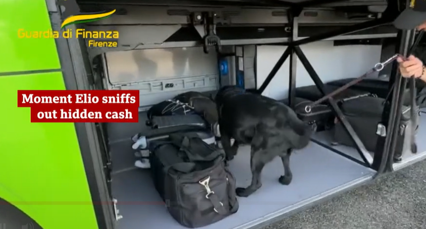 意大利偷運現金