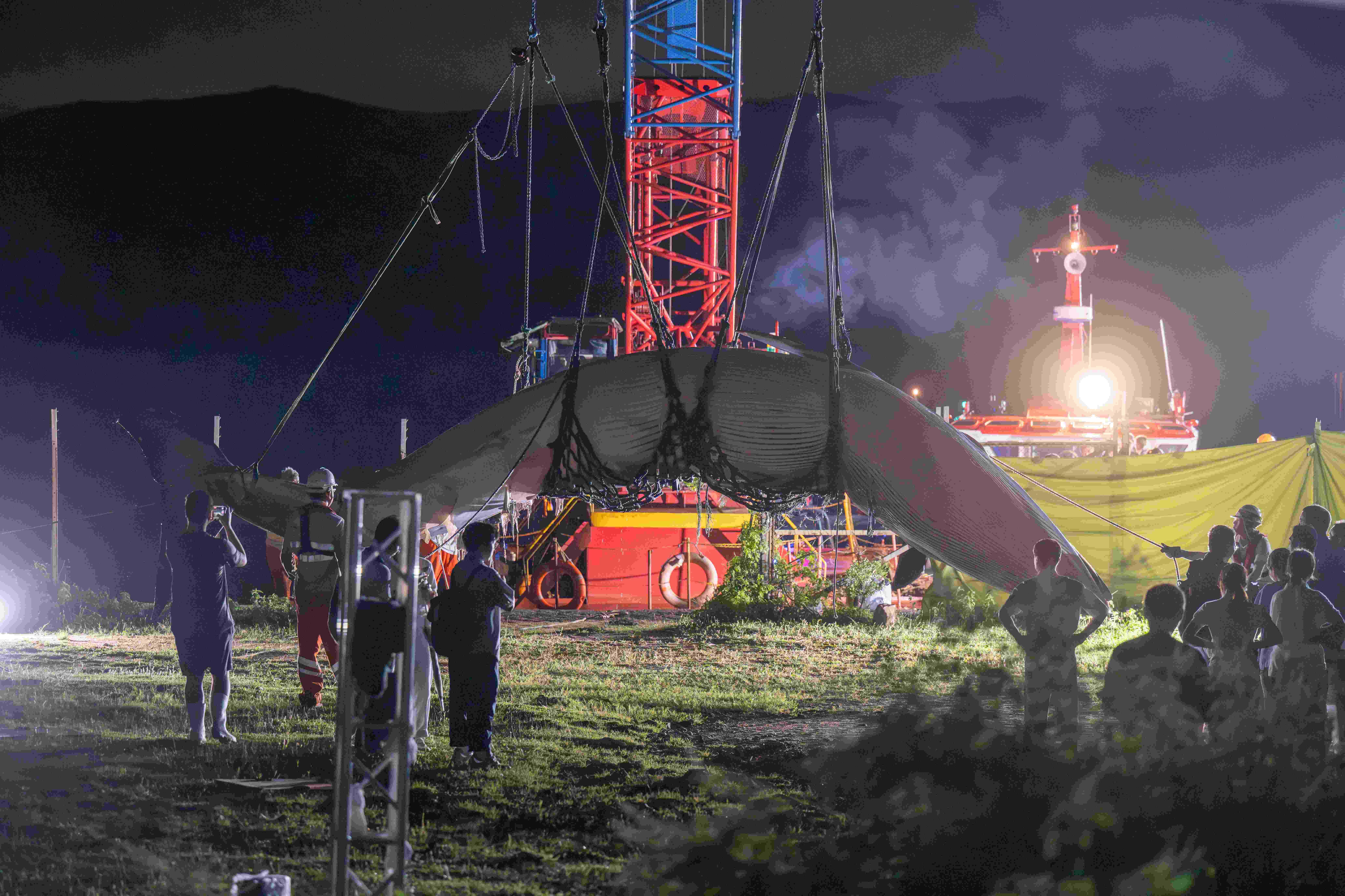 北潭涌 鯨魚屍體移送至萬宜水庫西壩進行解剖