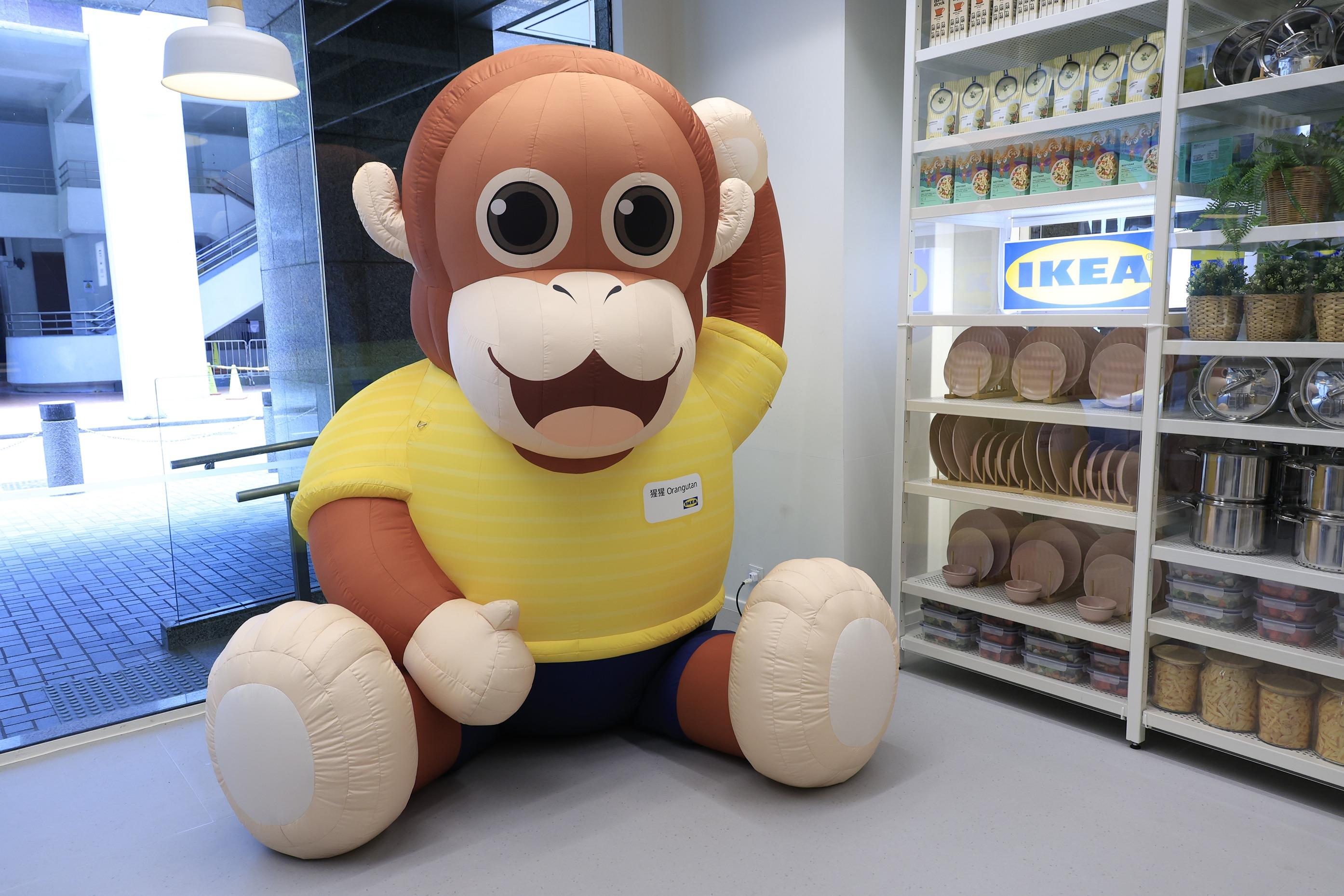 IKEA太古新店|與2.3米巨大化「太古猩」打卡