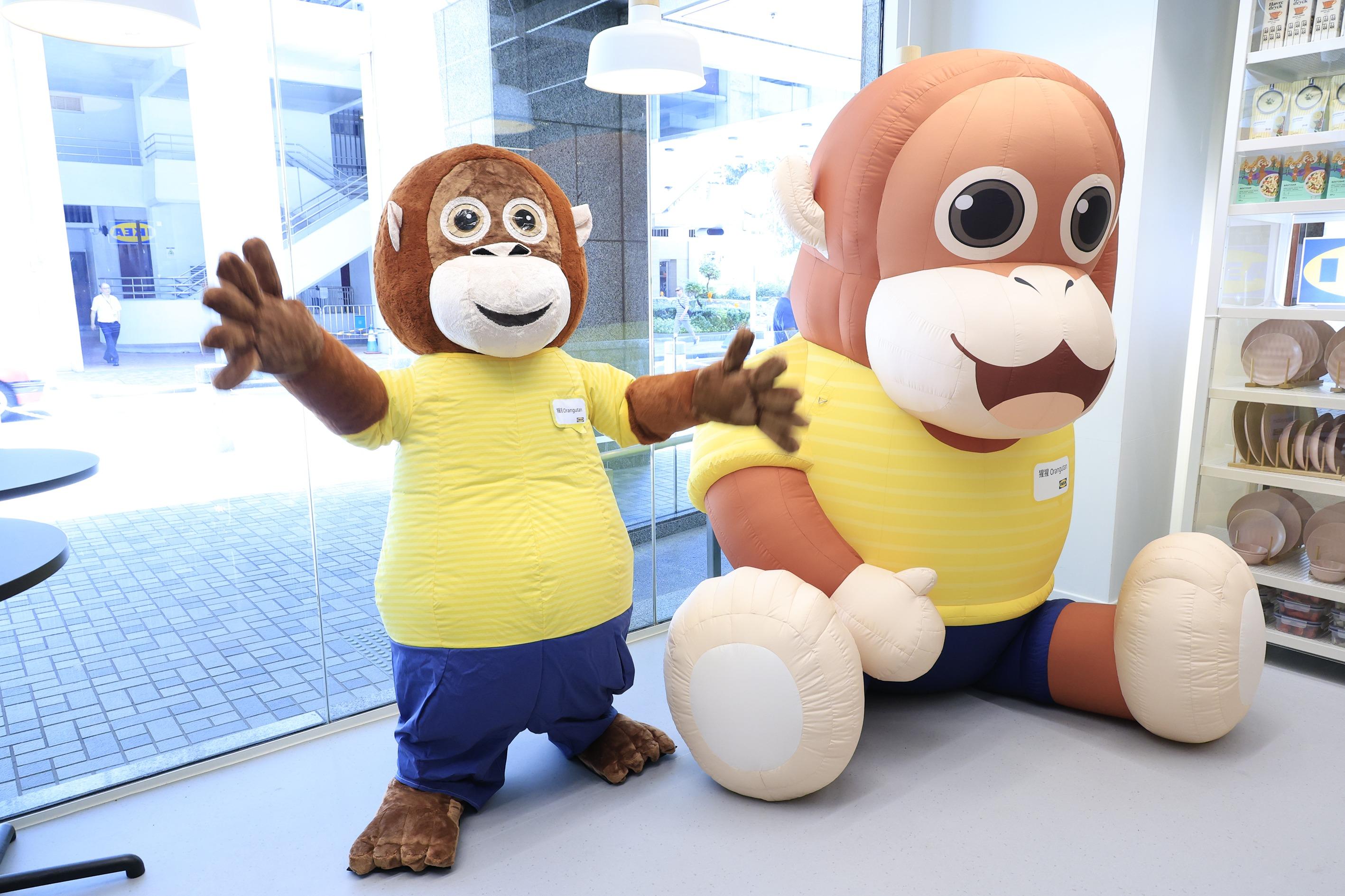 IKEA太古新店|與2.3米巨大化「太古猩」打卡