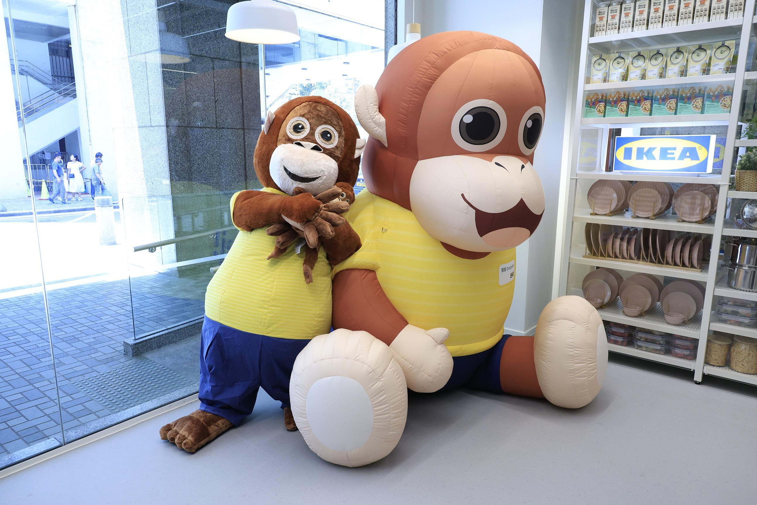 IKEA太古新店|與2.3米巨大化「太古猩」打卡