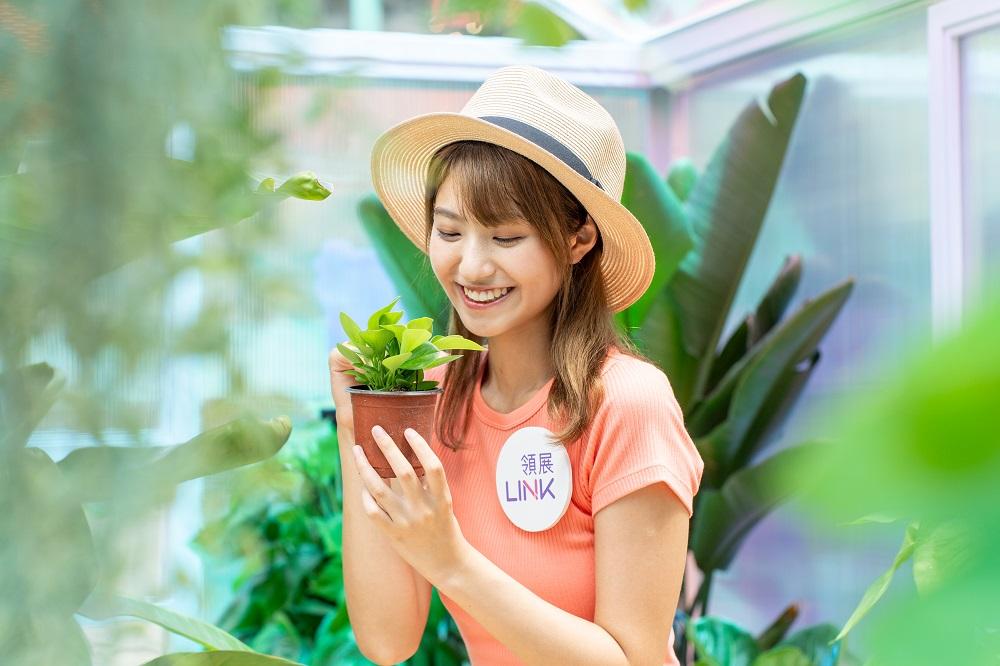 暑假好去處│3米高「炫彩玻璃溫室」在玻璃溫室內種植了一系列的青草植物。