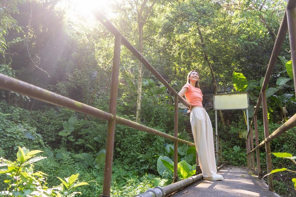 暑假好去處│「綠遊步道」路線中的百年樹屋,於太和廣場出發,步行20分鐘即可到達。