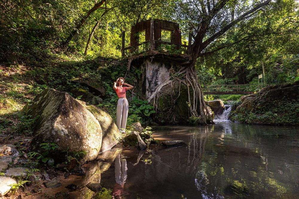 暑假好去處│「綠遊步道」路線中的百年樹屋,於太和廣場出發,步行20分鐘即可到達。