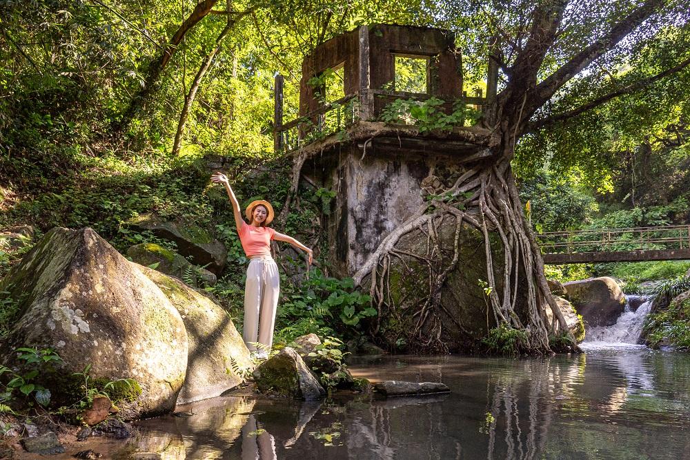 暑假好去處│「綠遊步道」路線中的百年樹屋,於太和廣場出發,步行20分鐘即可到達。