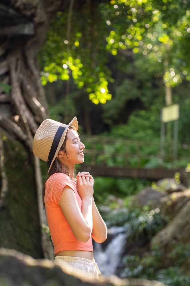 暑假好去處│「綠遊步道」路線中的百年樹屋,於太和廣場出發,步行20分鐘即可到達。