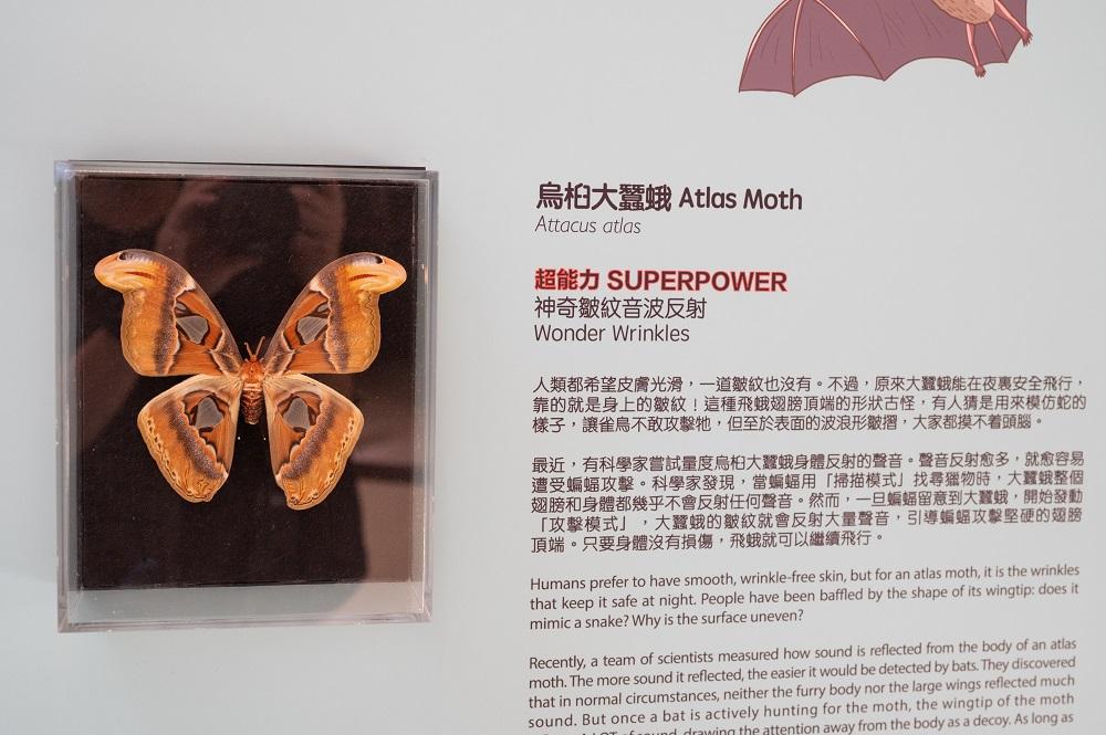 暑假好去處│展區三:防禦策略研究部─意想不到的超能力