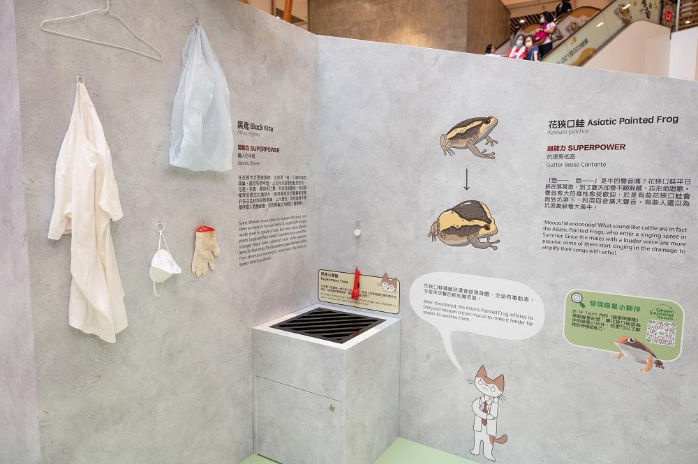 暑假好去處│展區一:市區動物研究部─尋找石屎森林生存之道