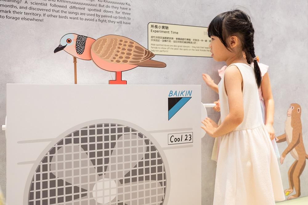 暑假好去處│展區一:市區動物研究部─尋找石屎森林生存之道