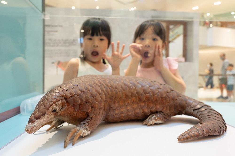 暑假好去處│展區三:防禦策略研究部─意想不到的超能力