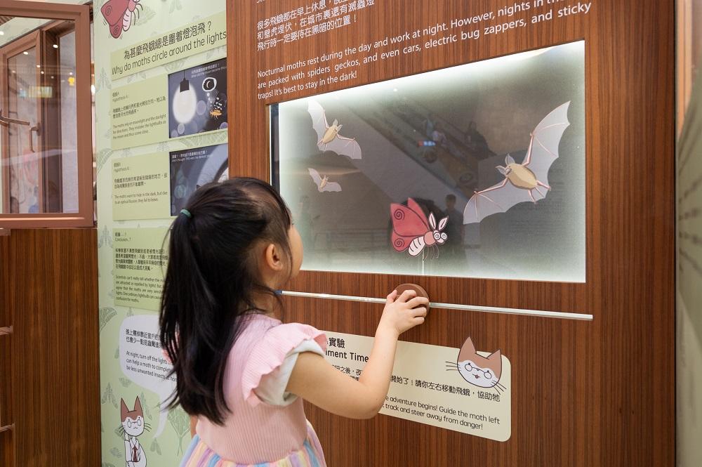 暑假好去處│展區一:市區動物研究部─尋找石屎森林生存之道