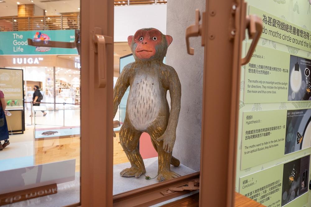 暑假好去處│展區一:市區動物研究部─尋找石屎森林生存之道