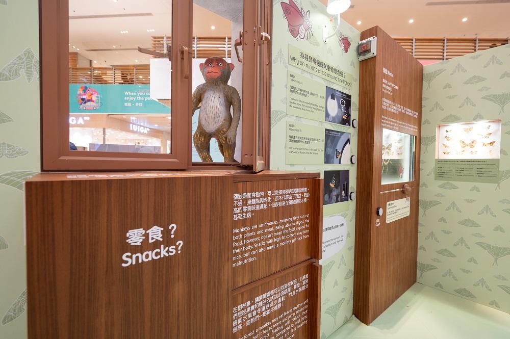 暑假好去處│展區一:市區動物研究部─尋找石屎森林生存之道