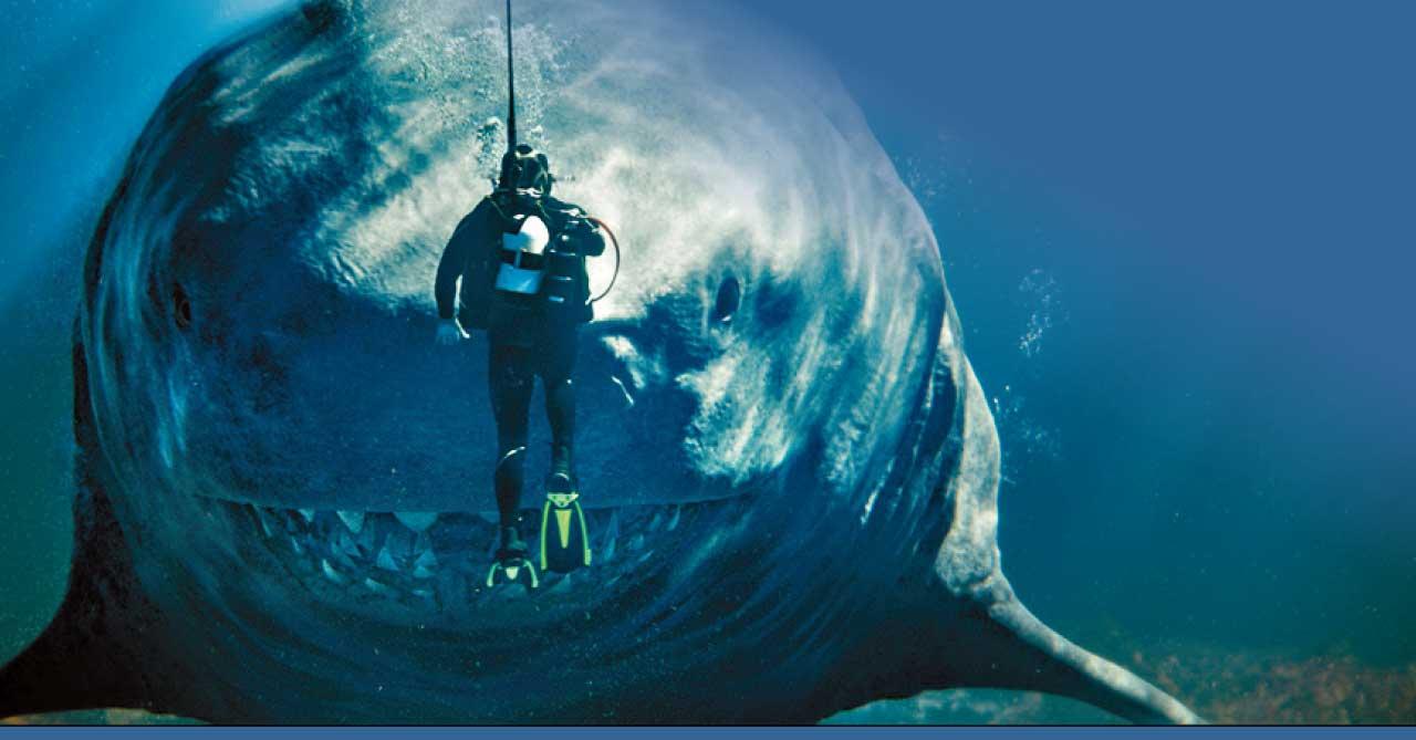 《極悍巨鯊2:深溝》