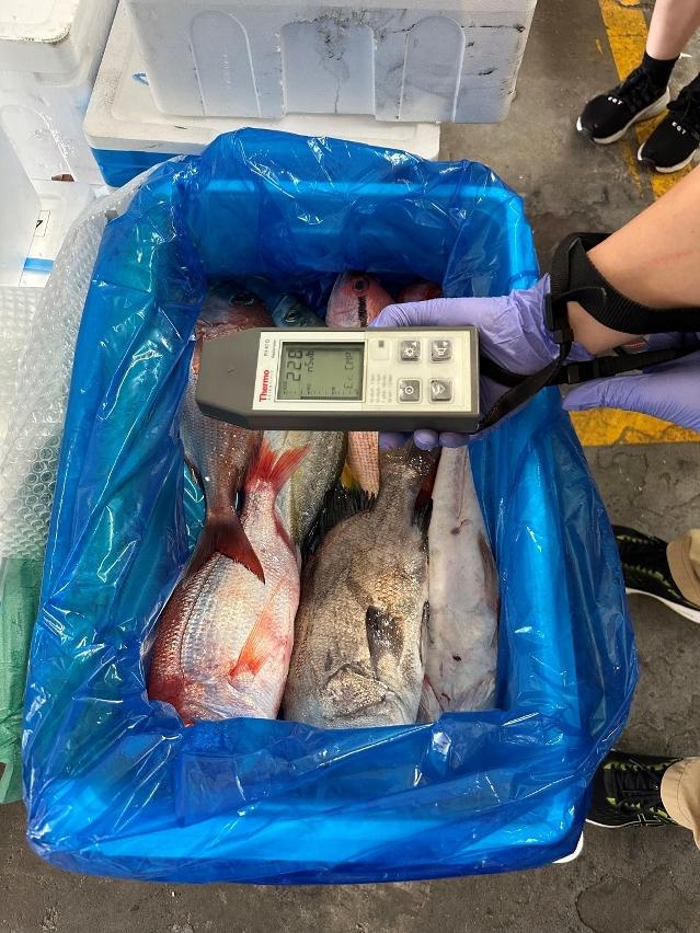 澳門同禁日本10個都縣區的食品進口(澳門新聞局圖片)