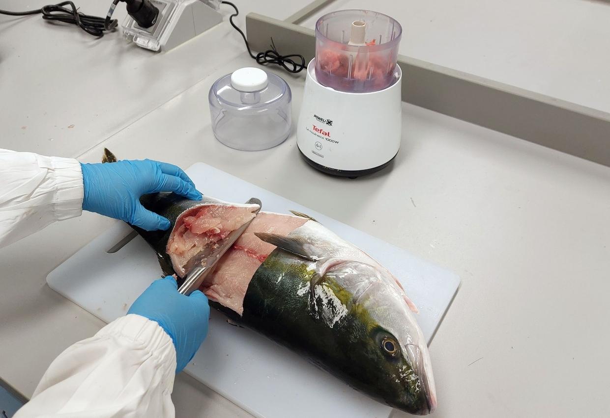 澳門同禁日本10個都縣區的食品進口(澳門新聞局圖片)