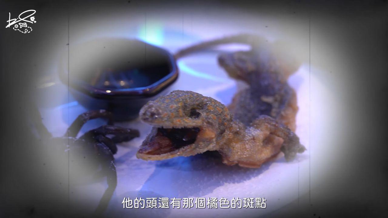 李岳與啦啦隊女神慈妹、廖廖好辣到日本旅行拍節目,想不到要生吞壁虎、蜘蛛。(李岳Youtube截圖)