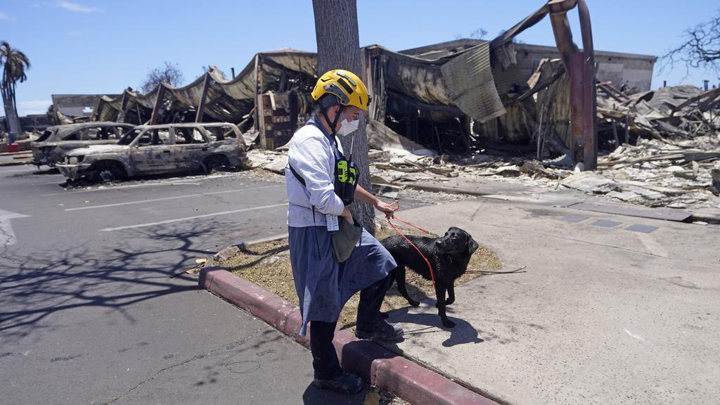 夏威夷山火災情嚴重,死亡人數最少89人。(美聯社)
