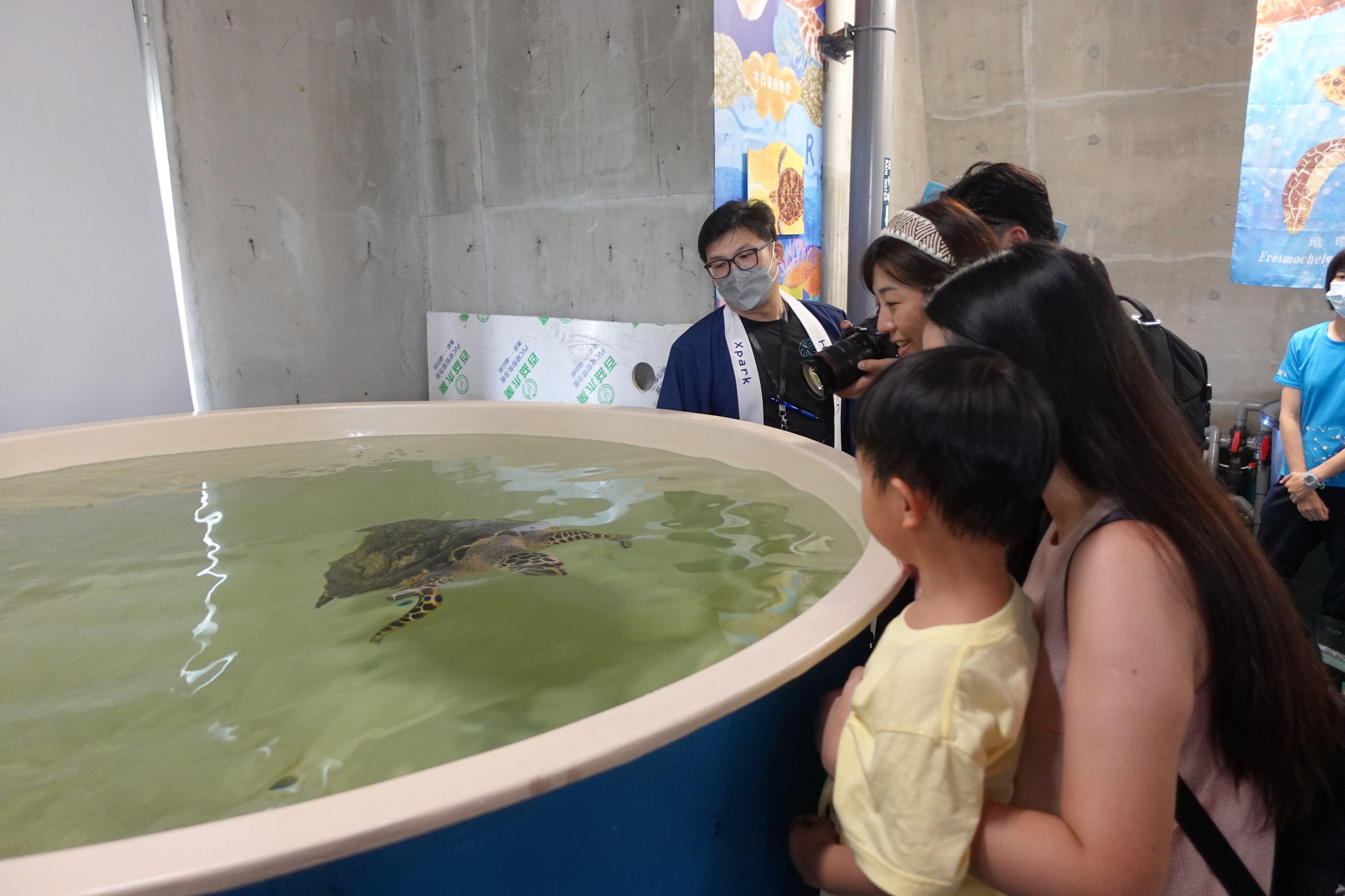 由工作人員帶大家深入水族館結構,近距離接觸海龜。