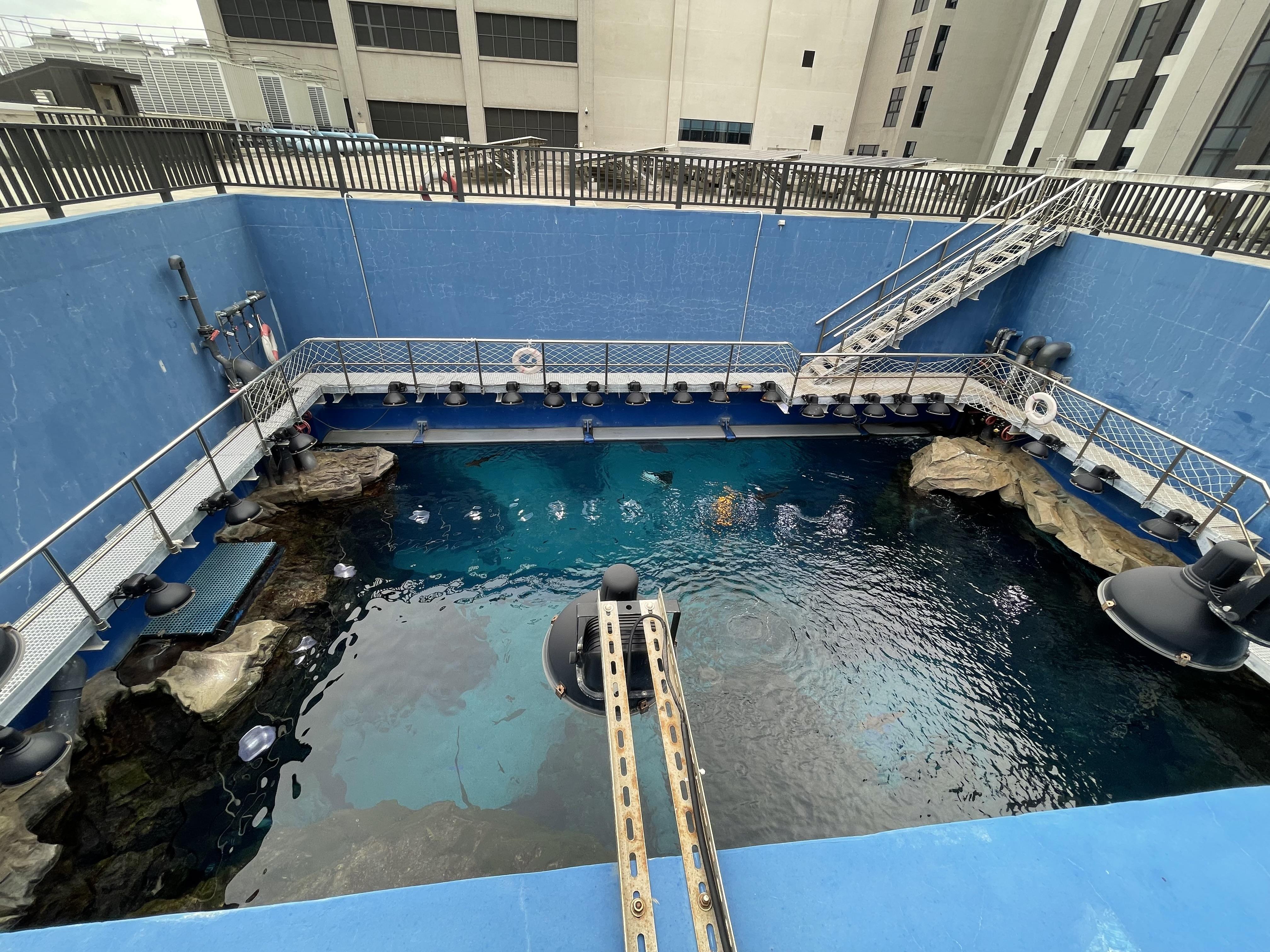 登上水族館天台俯瞰「福爾摩沙」的大水缸。