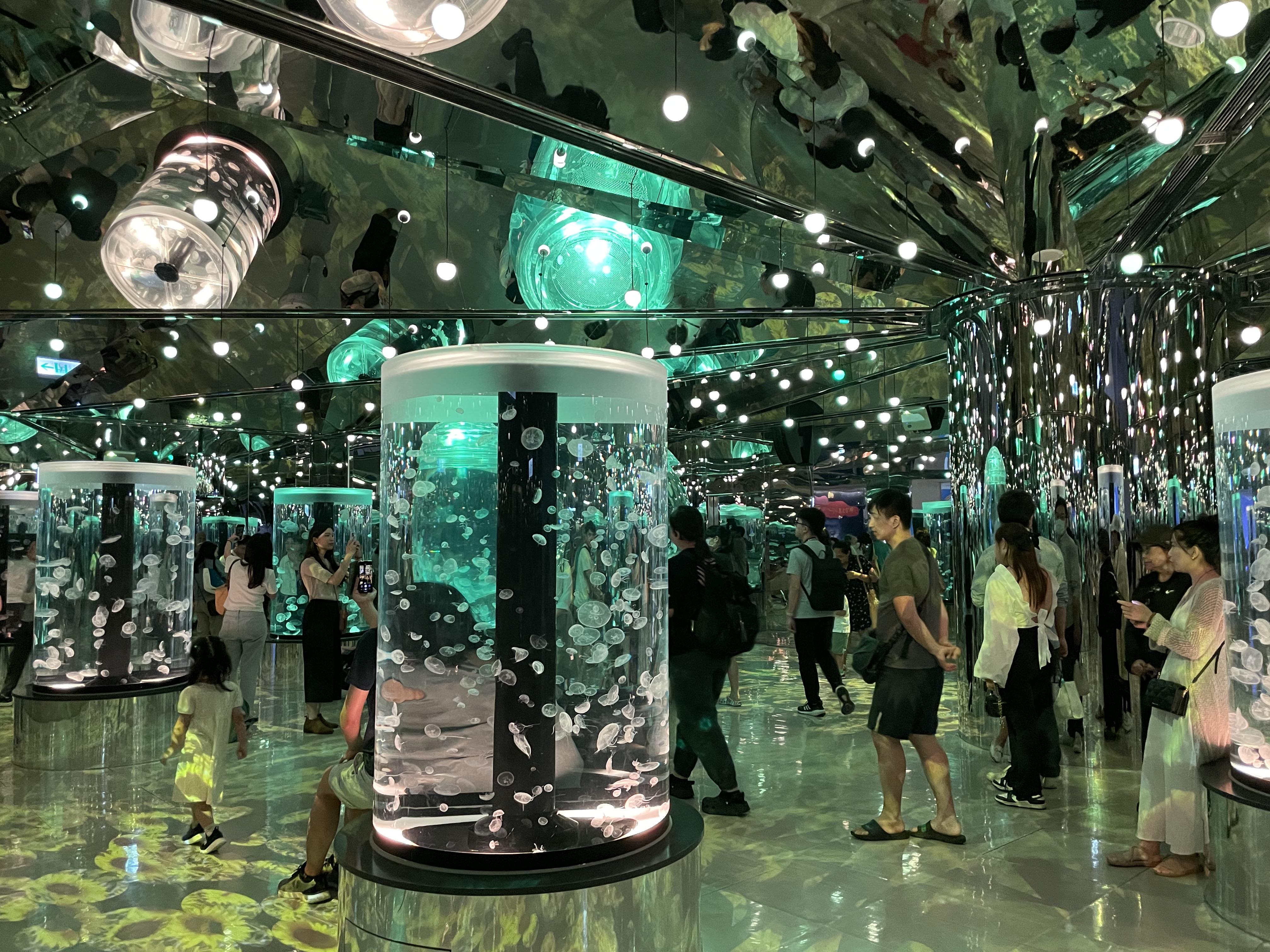 一定要到這個鏡面區域打卡。