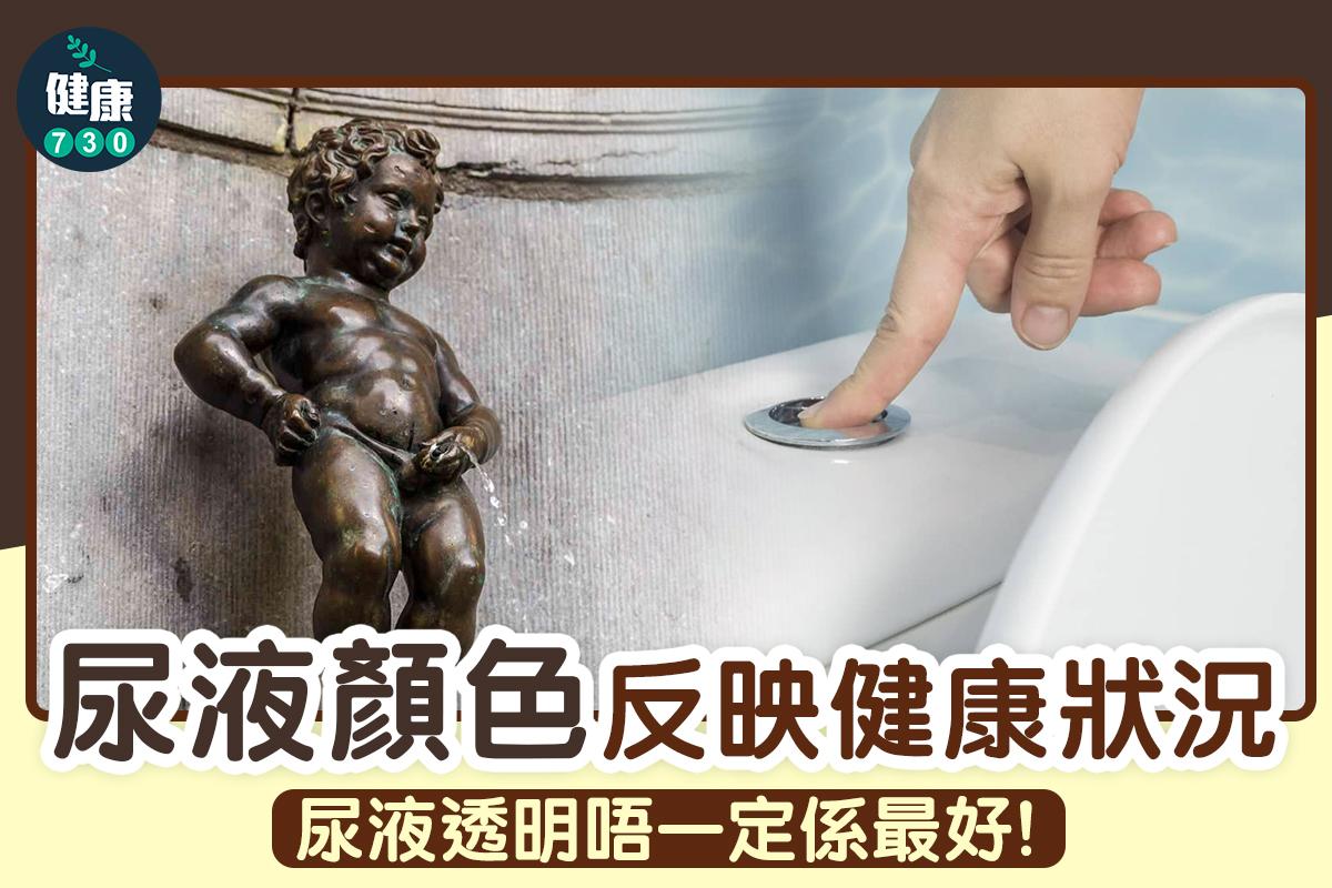 尿液顏色反映健康狀況(am730製圖)