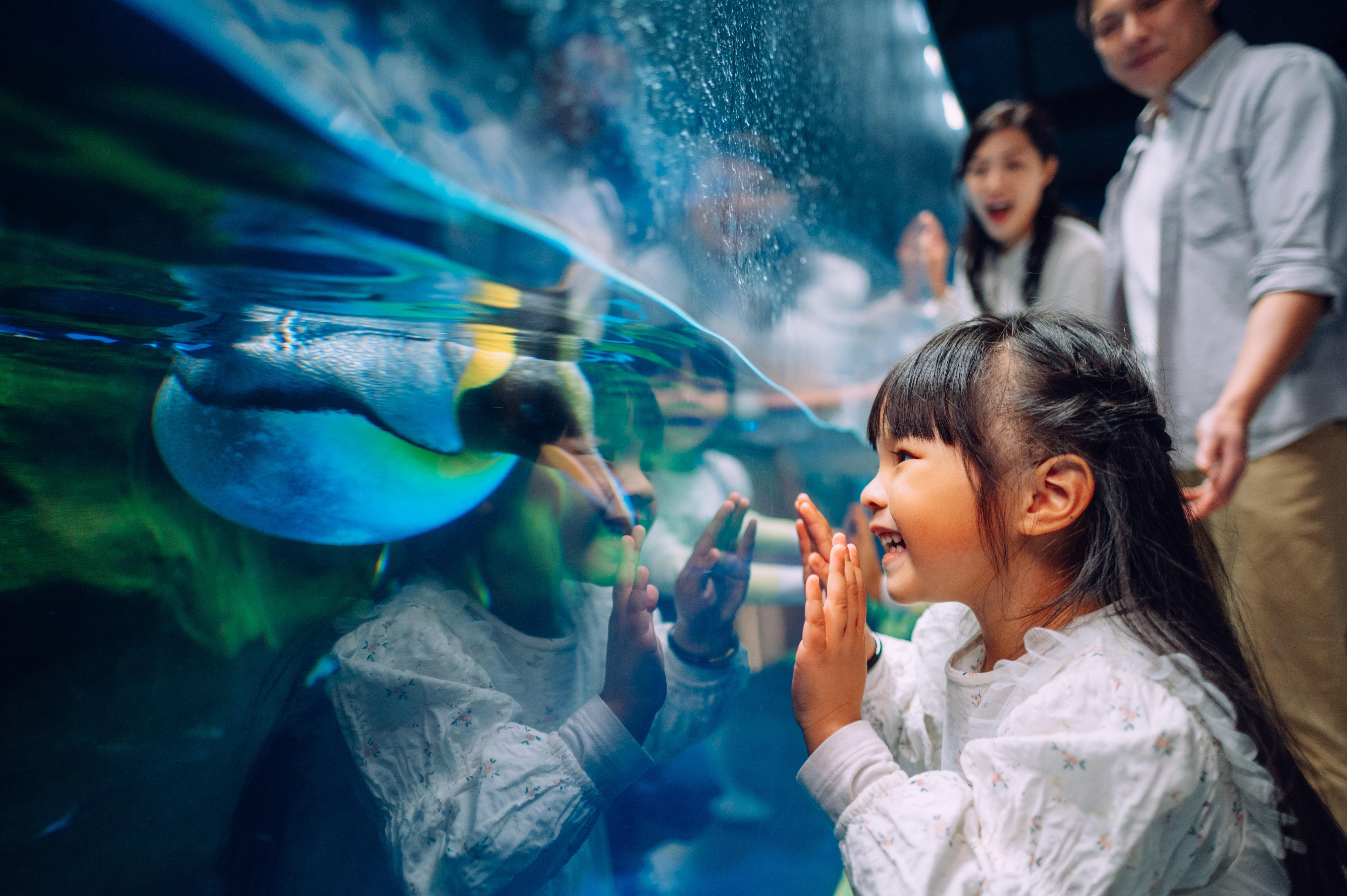 Monkey Tree 呈獻 南極奇觀