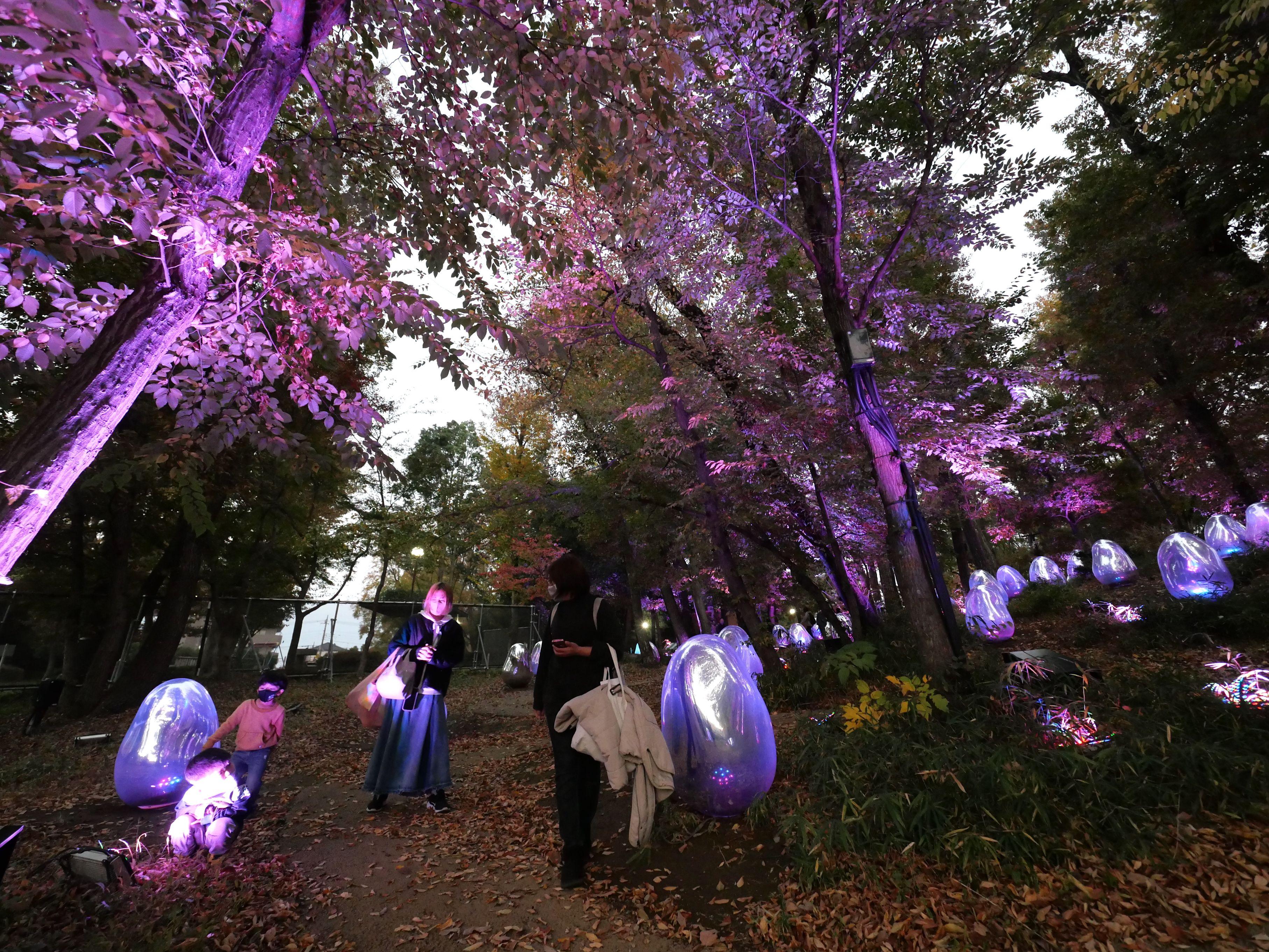 白天,鵝蛋光滑的銀色表面,如鏡般倒映周遭世界。