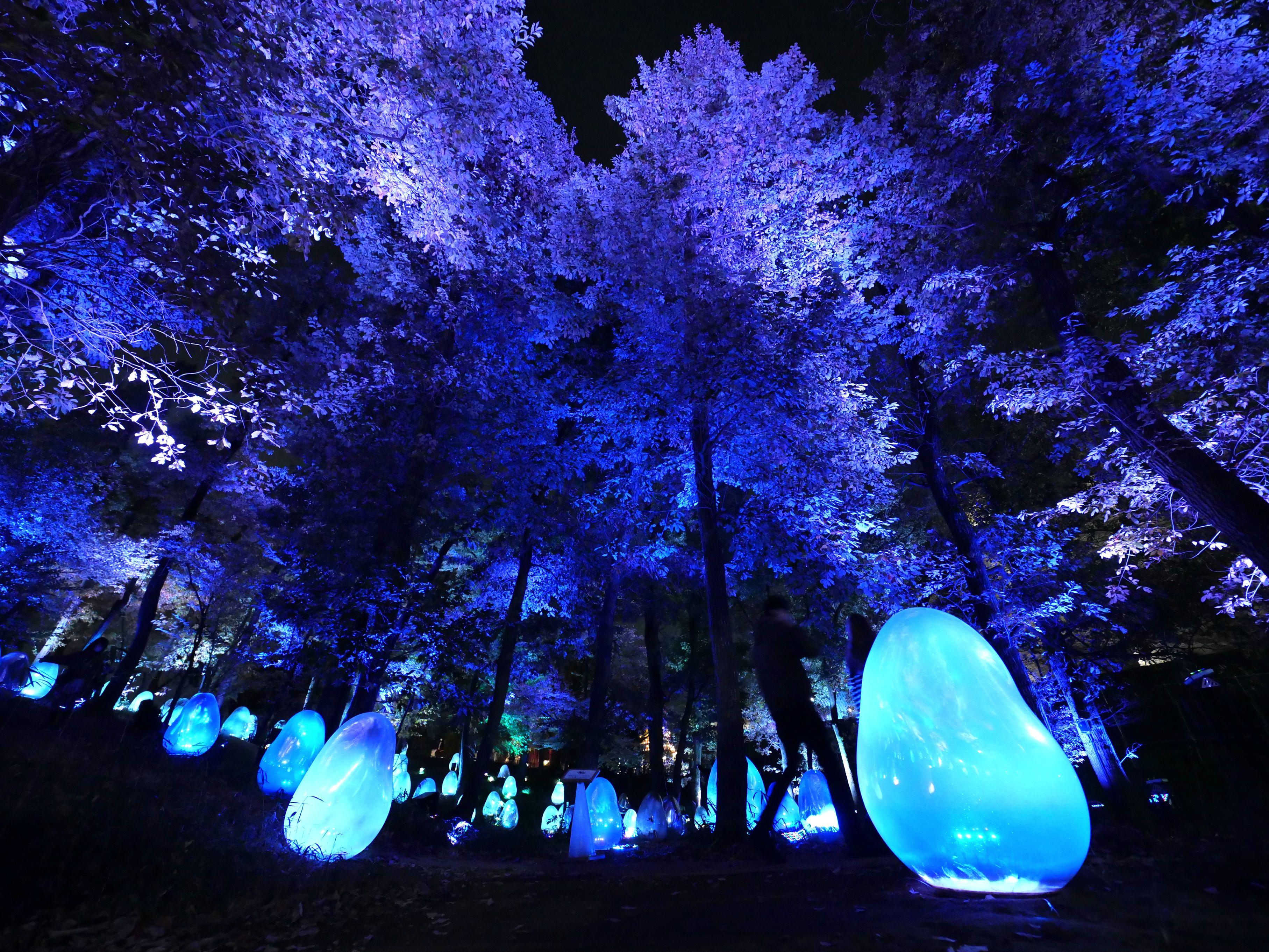 由teamLab打造的光影森林,一個個鵝蛋形裝置發出幻彩光芒。