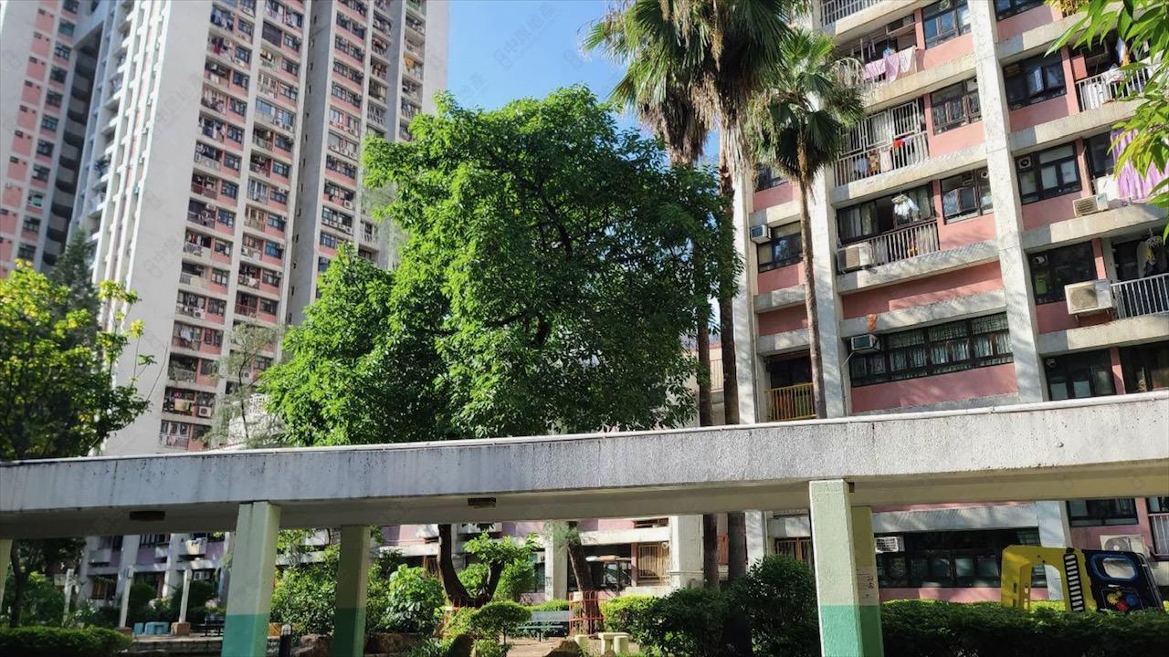 單位位處極低層,景觀以內園為主。(代理提供)