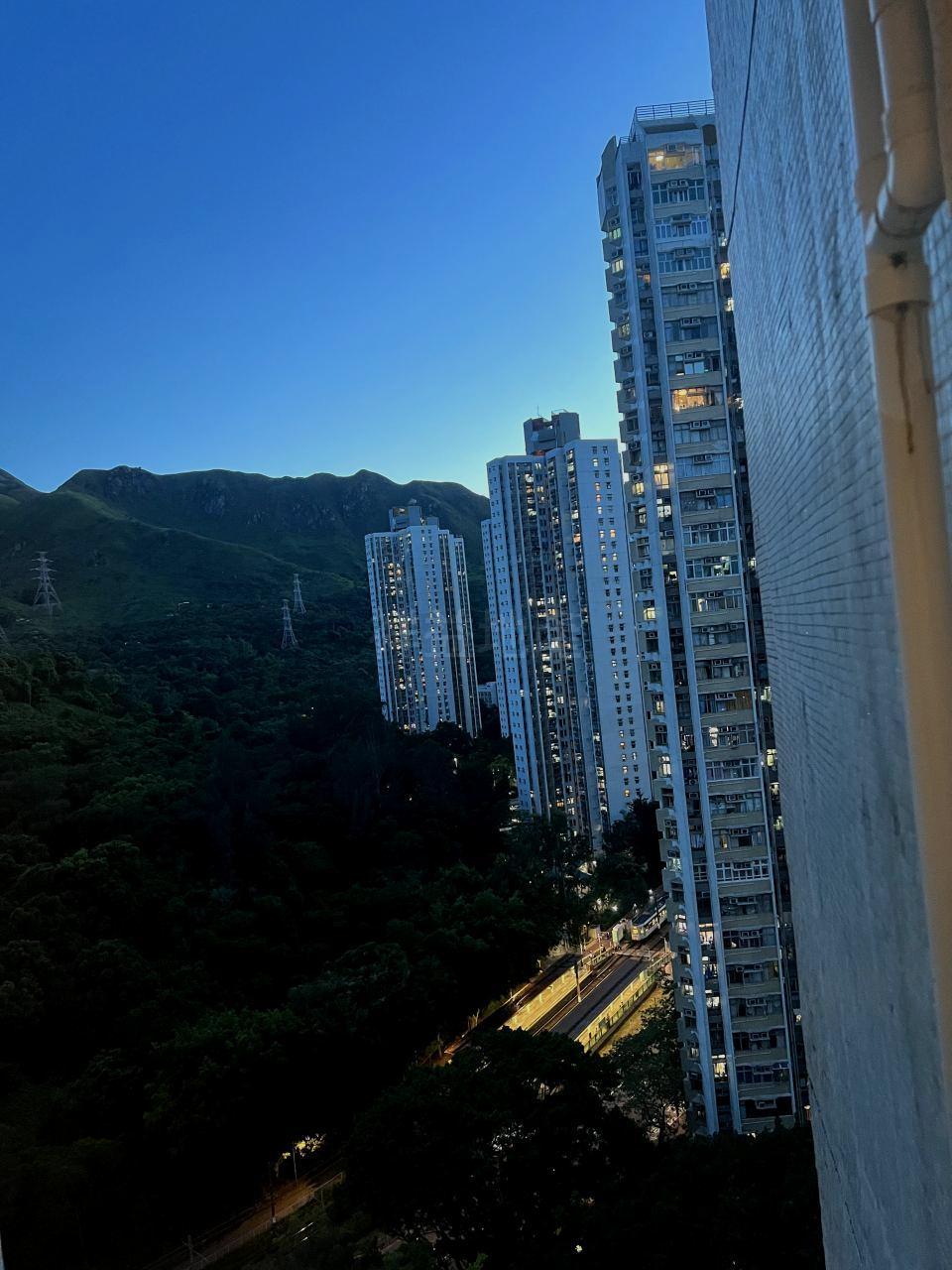 單位景觀清靜開揚,以山景和樹景為主。(代理提供)