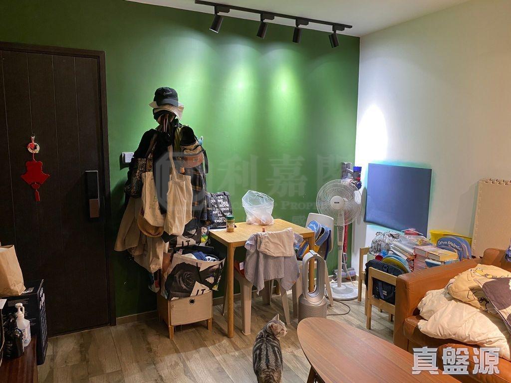 大廳其中一邊牆身髹上綠色,裝修新淨時尚。(代理提供)