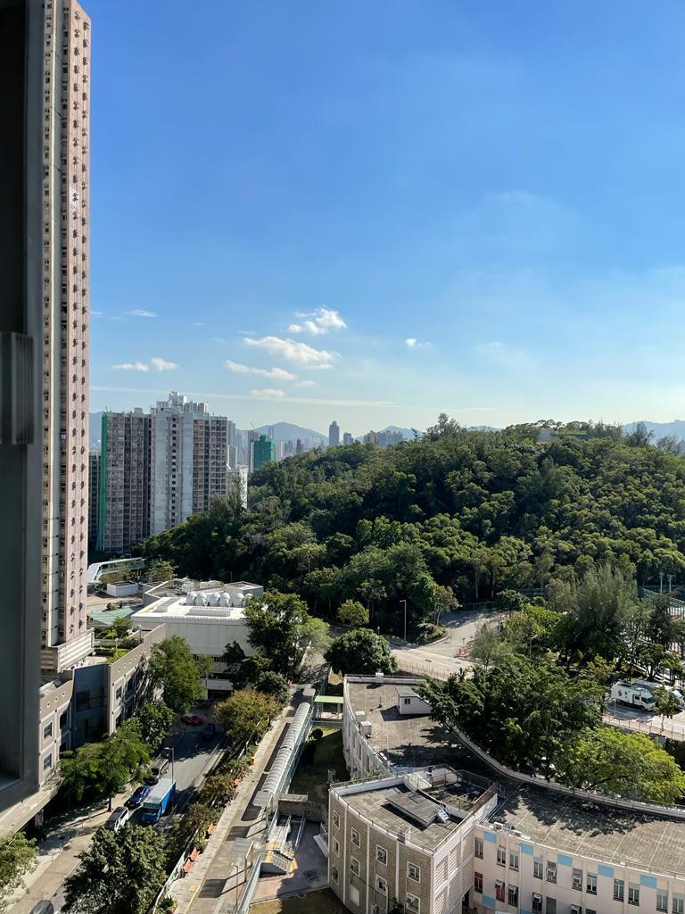 單位主要望市景及園景,景觀相當開揚舒服。(代理提供)