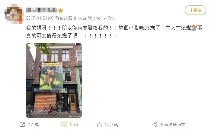 貓奴歡慶愛貓35歲大壽 訂做海報掛窗外「曬貓」萌翻路人