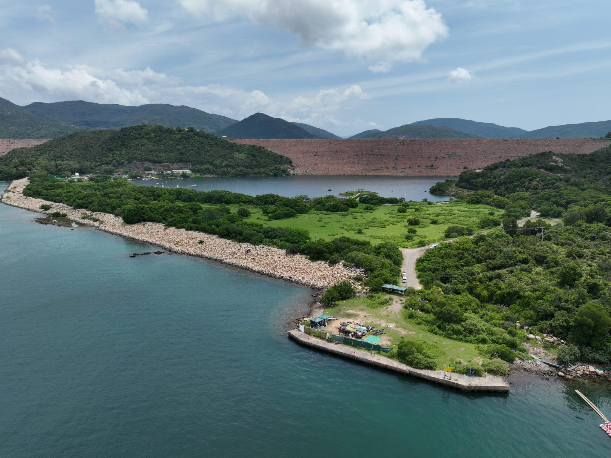 西貢鯨魚死亡|海洋公園:鯨魚被船撞傷機會大 政府應立法規管觀鯨活動