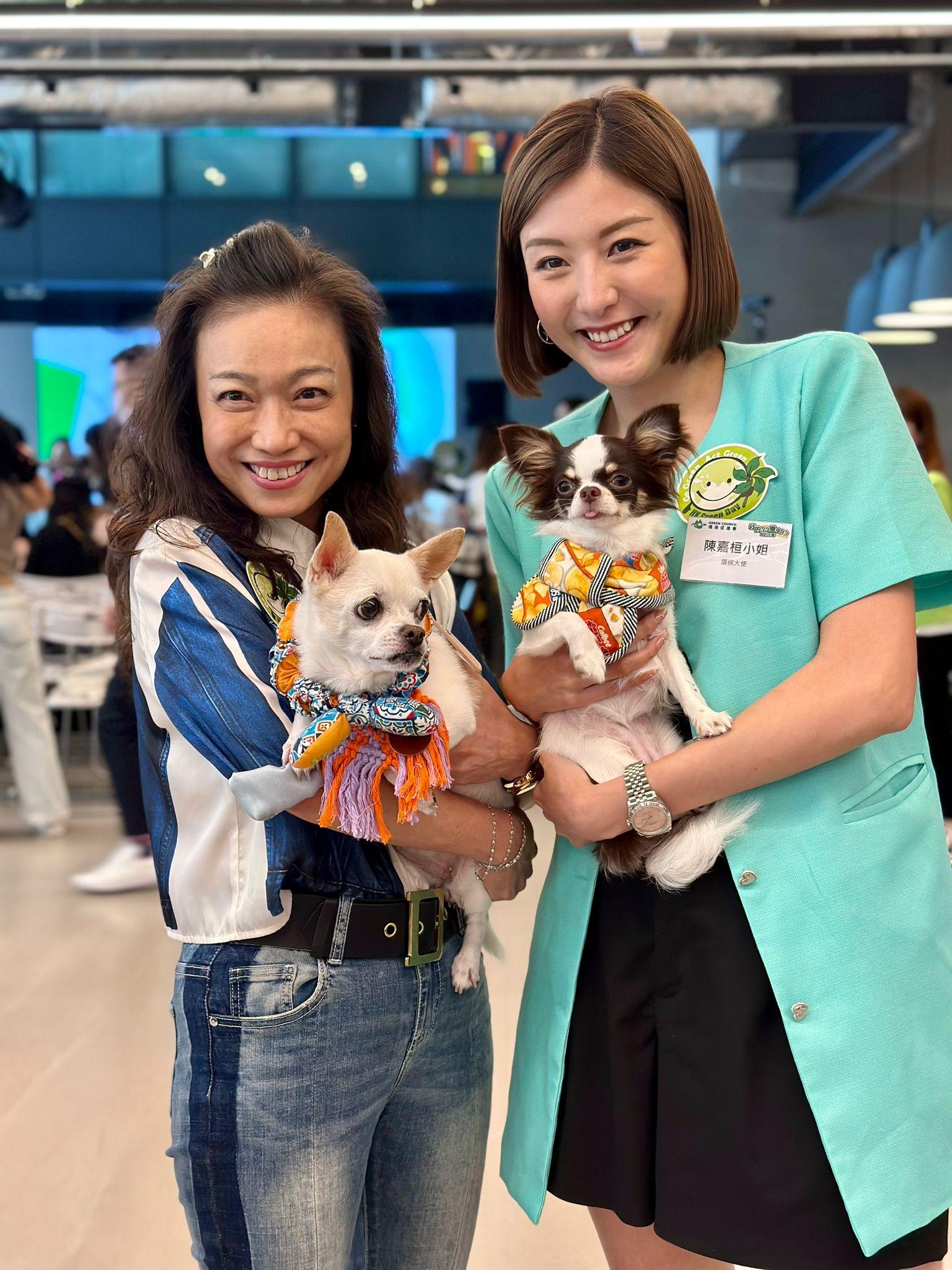 陳嘉桓跟前經理人的合約已圓滿結束,回復自由身。