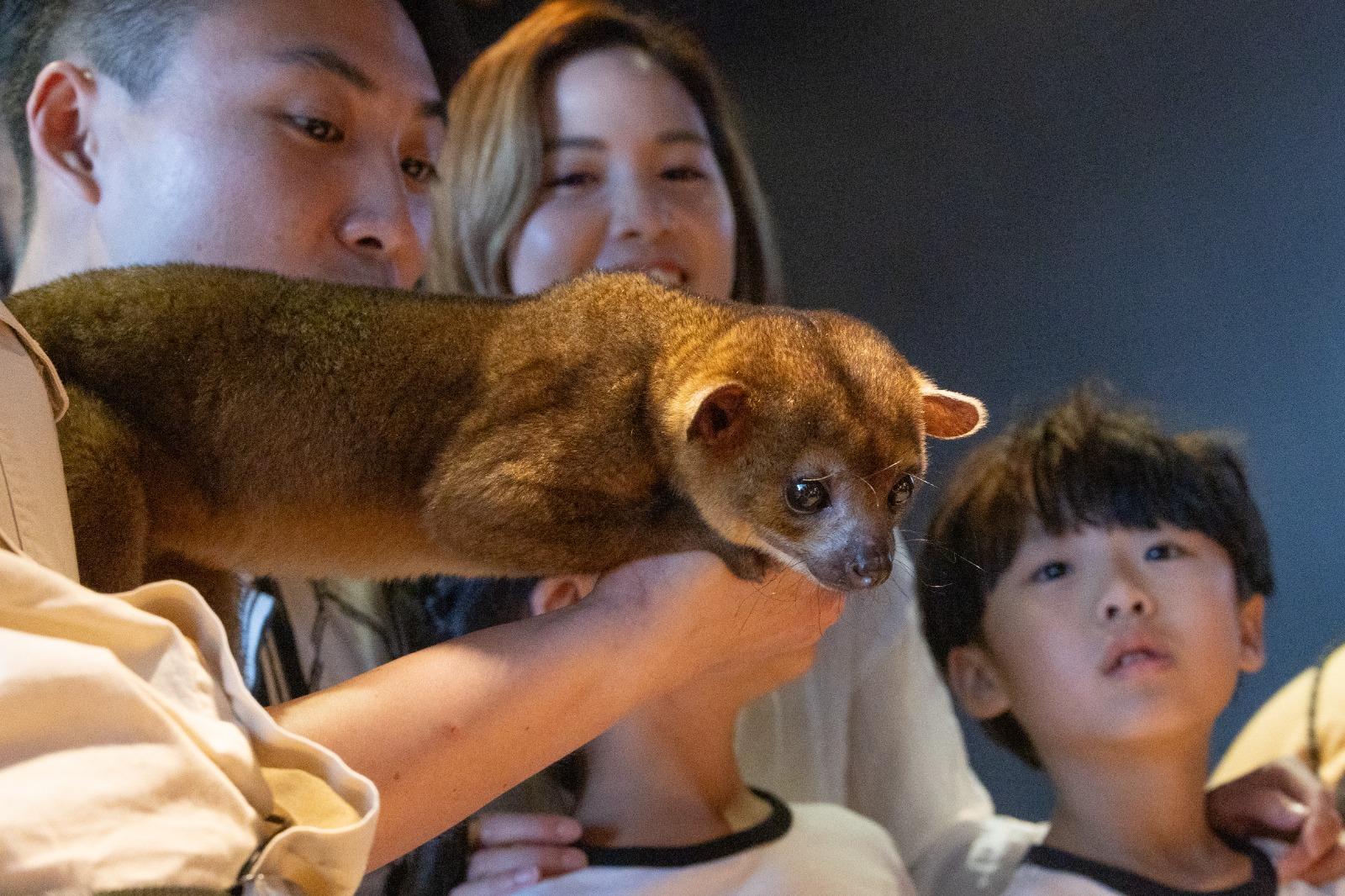 謹記不可觸摸動物大使喔。(資料圖片)