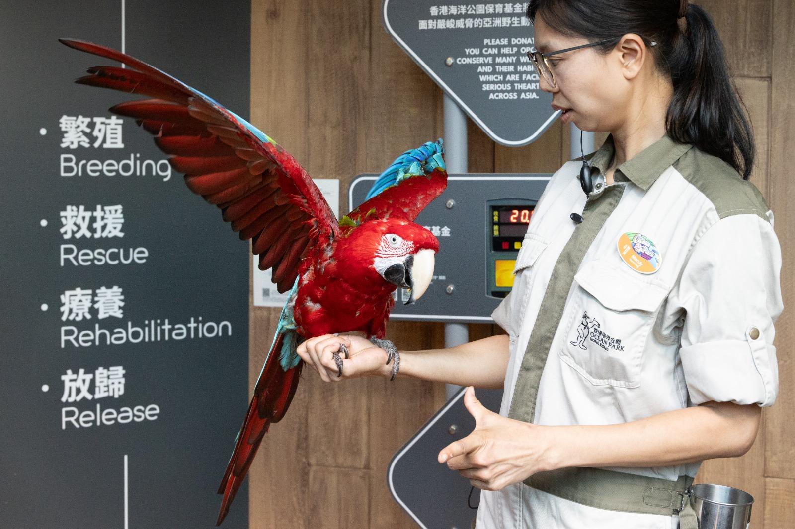 謹記不可觸摸動物大使喔。(資料圖片)