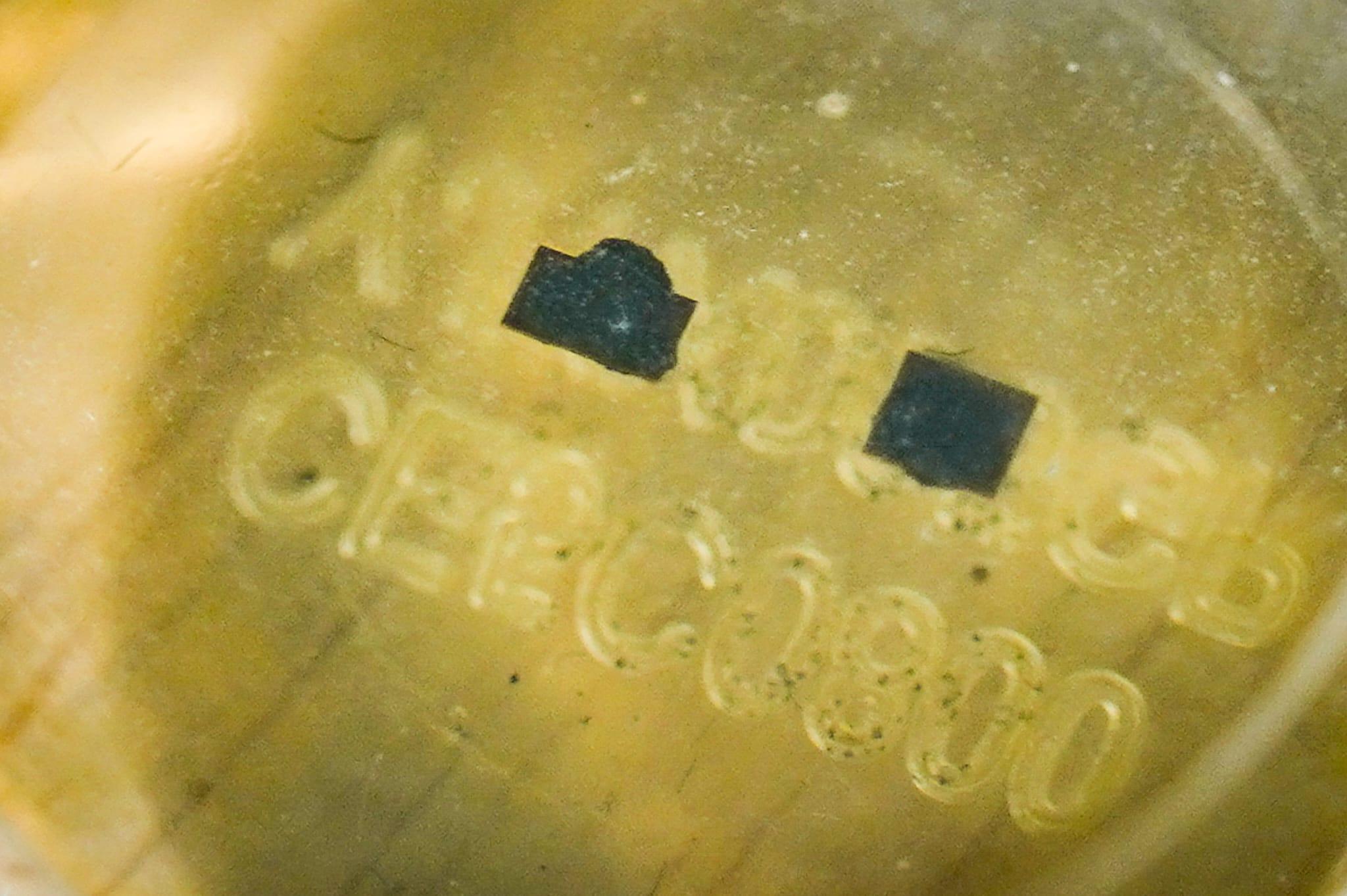 港大獲嫦娥五號月球土壤 盼了解月球晚期火山活動歷史