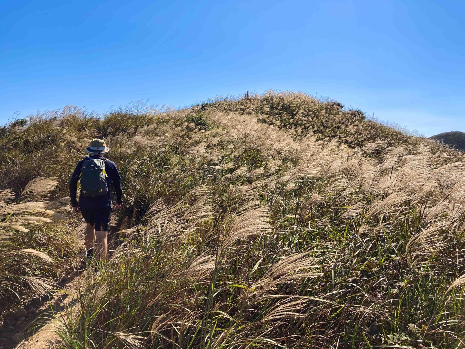 行山裝備清單|行山鞋、背囊、尿袋等神器減受傷遇險機會