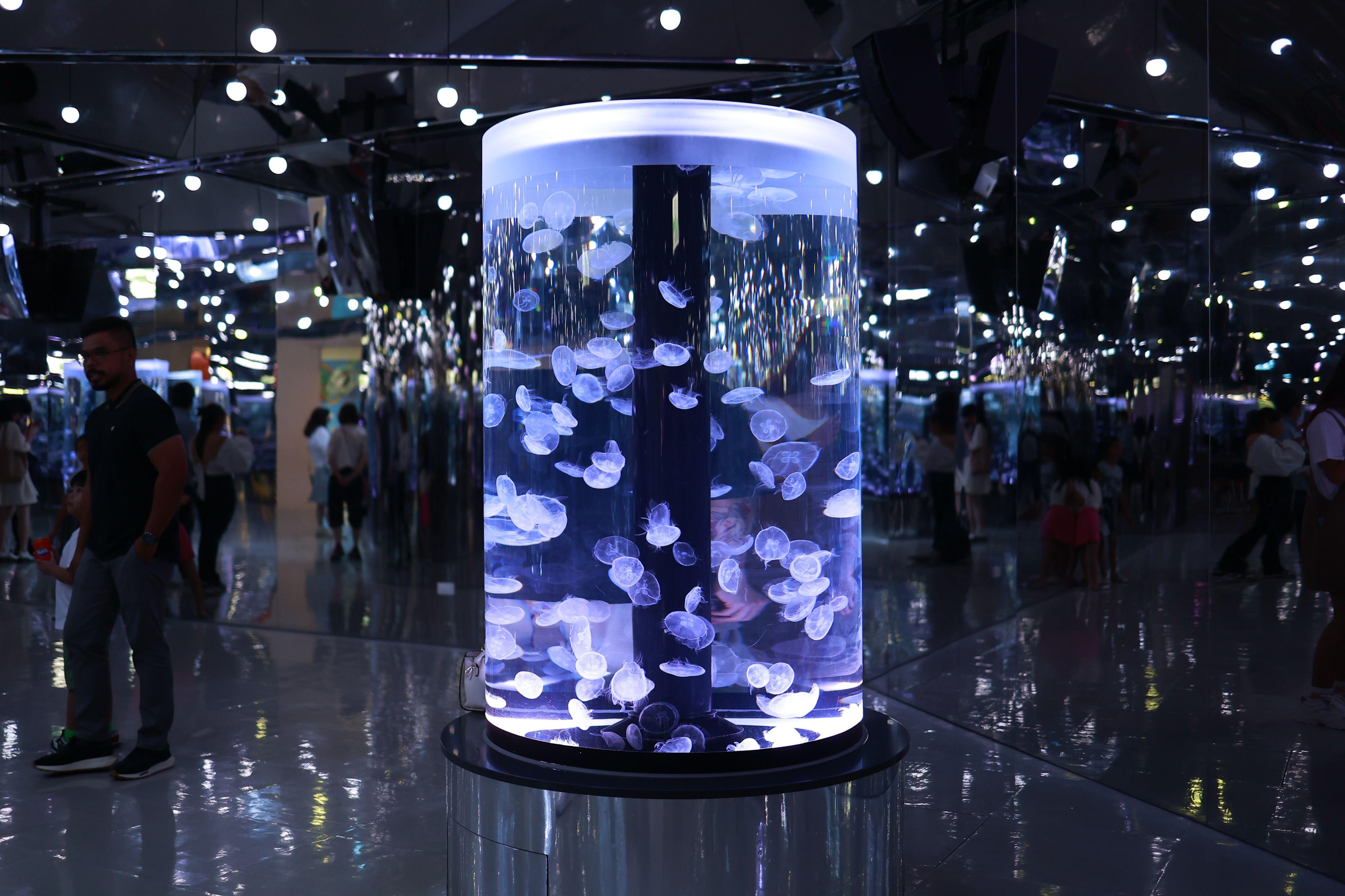 一定要到這個鏡面區域打卡!