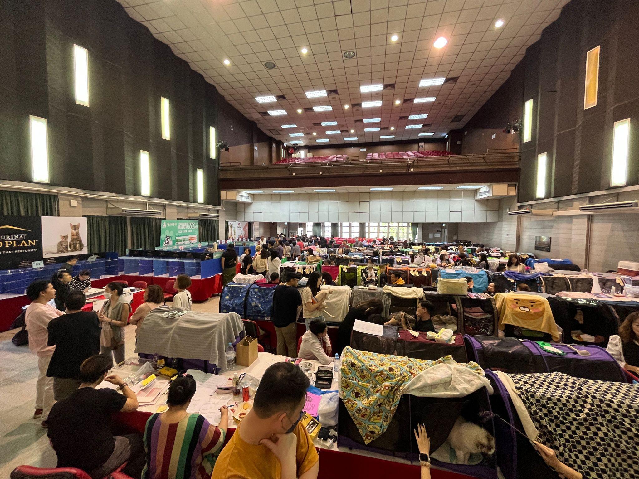 毛孩好去處│UFF冠軍貓展