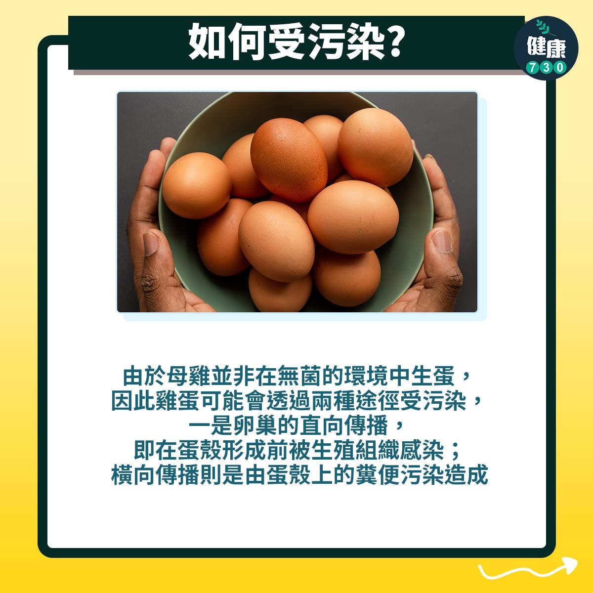雞蛋需要清洗嗎?(am730製圖)