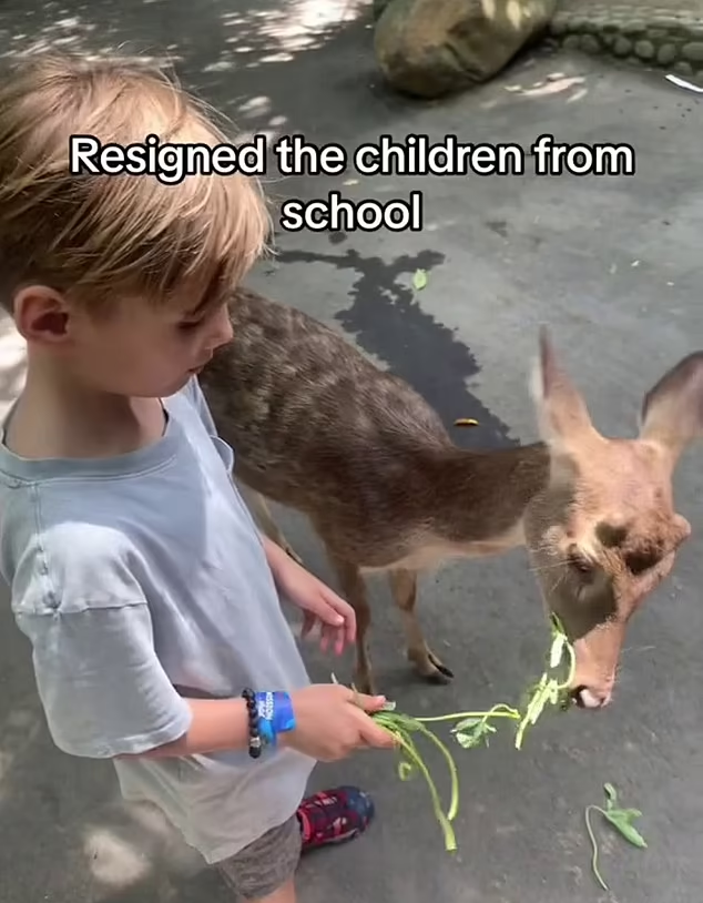 財務自由|夫婦帶埋3個仔女搬去峇里島。(互聯網)